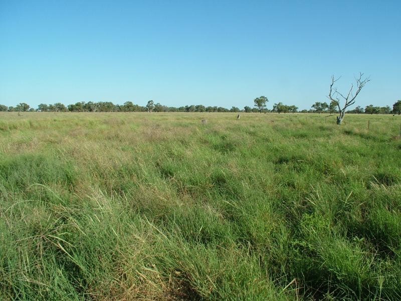 ‘Yallakool’ Wingadee Road, Coonamble NSW 2829