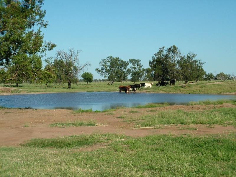 ‘Yallakool’ Wingadee Road, Coonamble NSW 2829