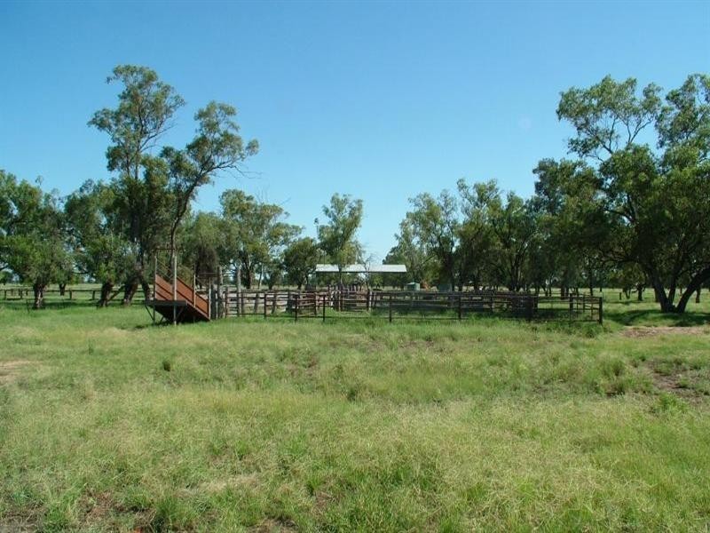 ‘Yallakool’ Wingadee Road, Coonamble NSW 2829