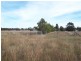 101L Bunglegumbie Road, Dubbo NSW 2830