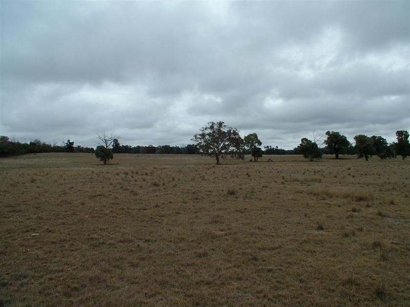 ‘Bungawitta’ Momo Road, Tomingley NSW 2869