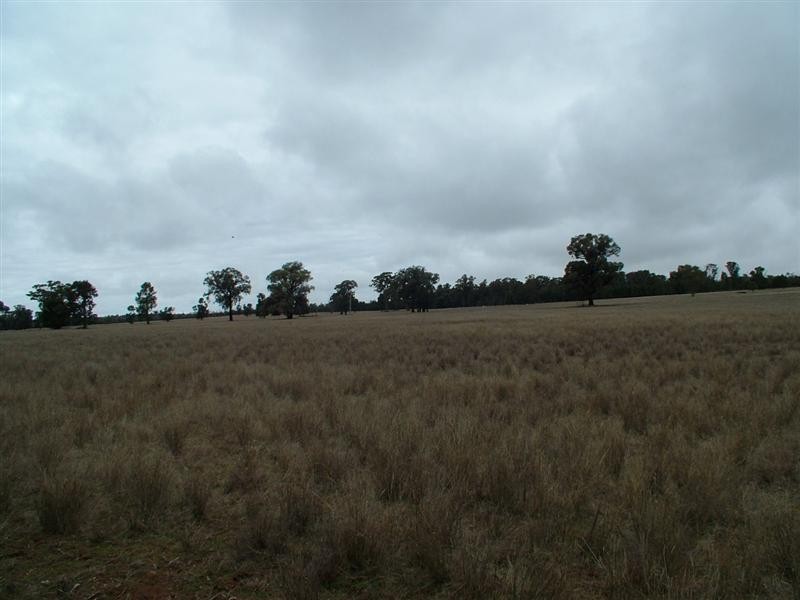 ‘Bungawitta’ Momo Road, Tomingley NSW 2869