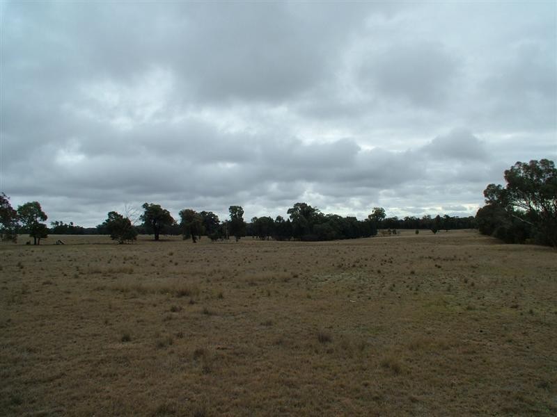 ‘Bungawitta’ Momo Road, Tomingley NSW 2869