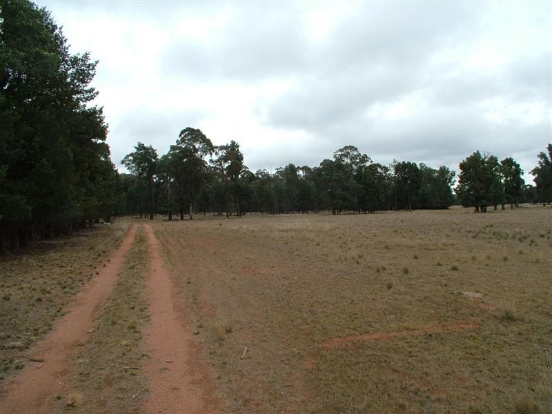 ‘Bungawitta’ Momo Road, Tomingley NSW 2869