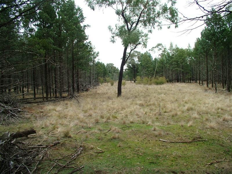 ‘Bungawitta’ Momo Road, Tomingley NSW 2869