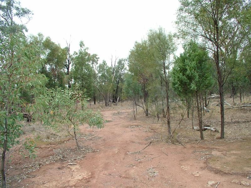 ‘Bungawitta’ Momo Road, Tomingley NSW 2869