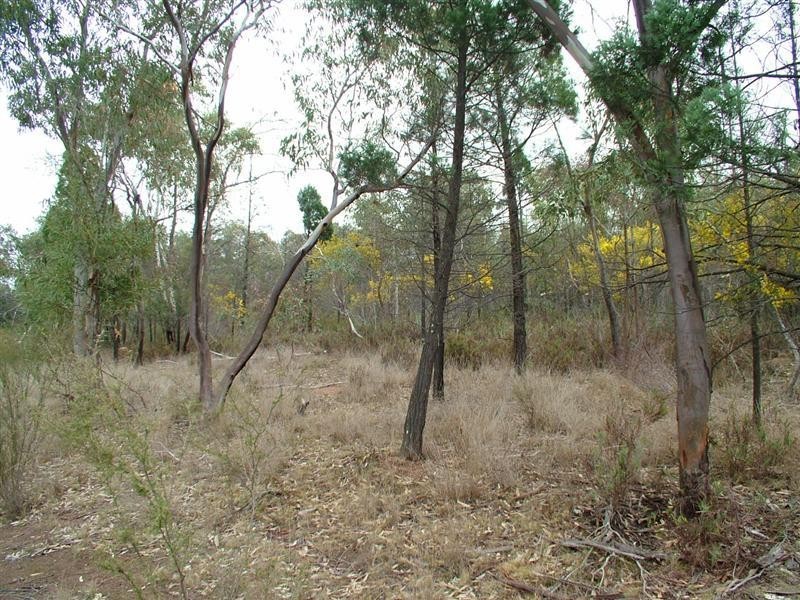 ‘Bungawitta’ Momo Road, Tomingley NSW 2869