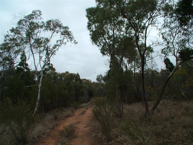 ‘Bungawitta’ Momo Road, Tomingley NSW 2869