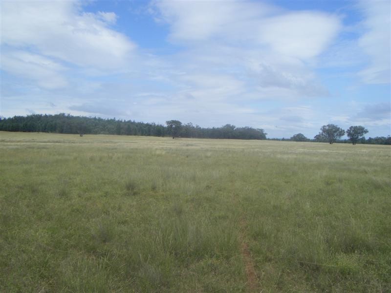 ‘Bungawitta’ Momo Road, Tomingley, Dubbo NSW 2830