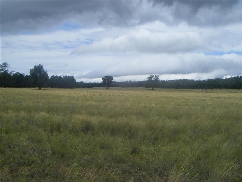 ‘Bungawitta’ Momo Road, Tomingley, Dubbo NSW 2830