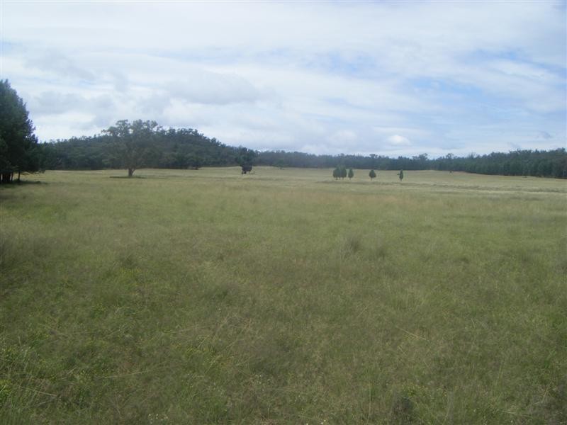 ‘Bungawitta’ Momo Road, Tomingley, Dubbo NSW 2830