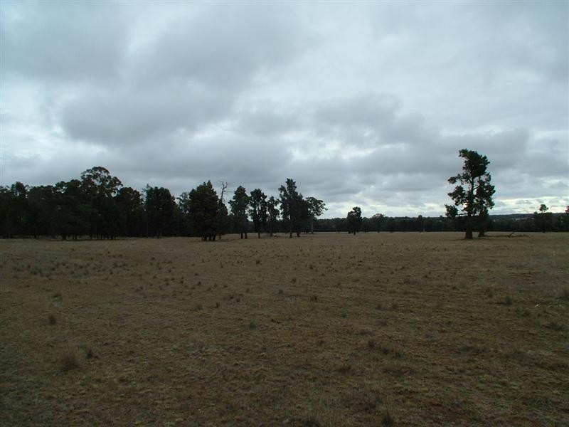 ‘Bungawitta’ Momo Road, Tomingley, Dubbo NSW 2830