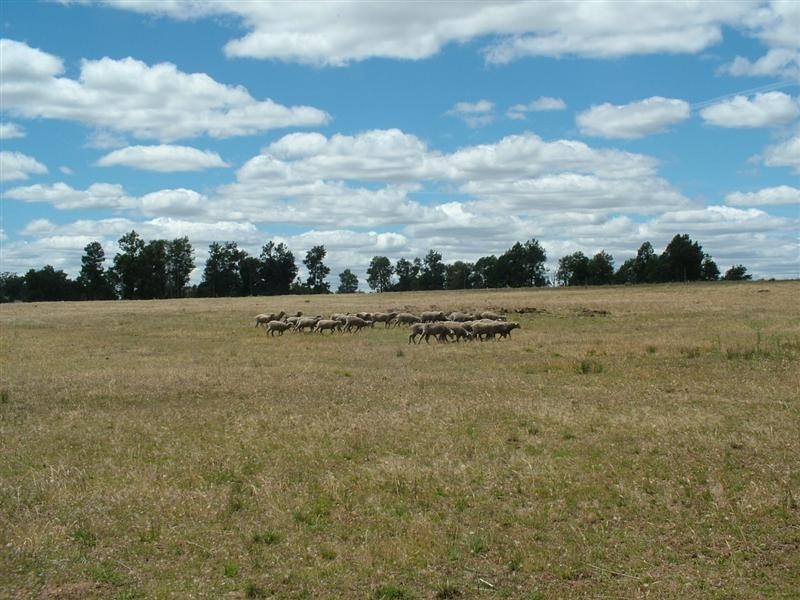 ‘Hillview’ Strathgled Road, Toongi NSW 2830