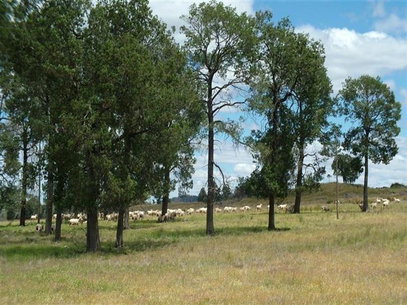 ‘Hillview’ Strathgled Road, Toongi NSW 2830