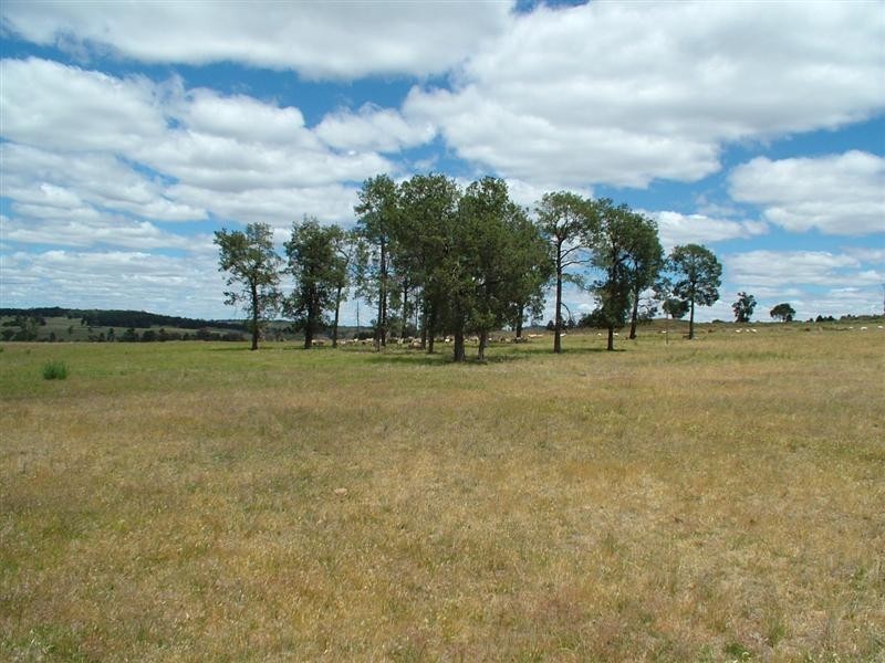 ‘Hillview’ Strathgled Road, Toongi NSW 2830