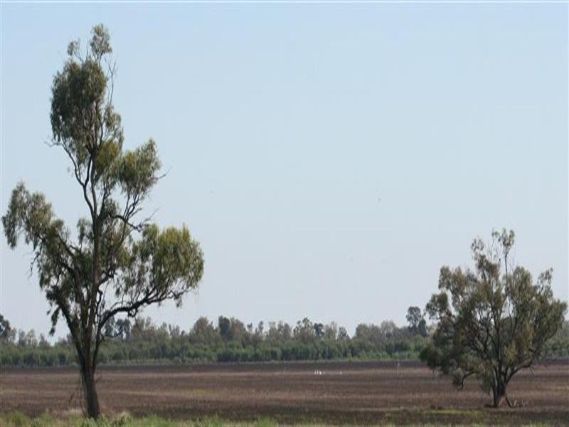 Come By Chance NSW 2832