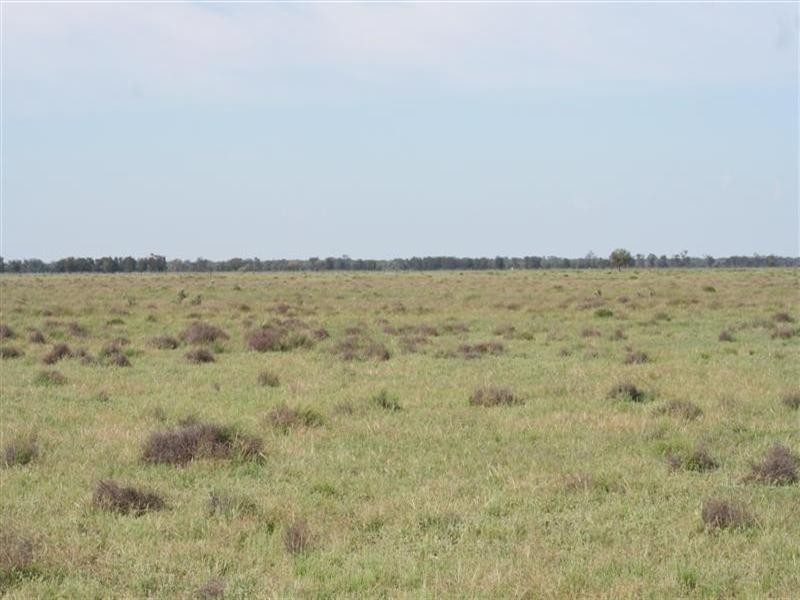 Come By Chance NSW 2832