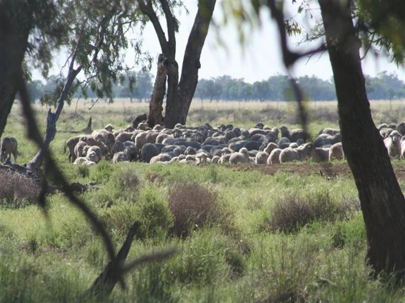 Come By Chance NSW 2832