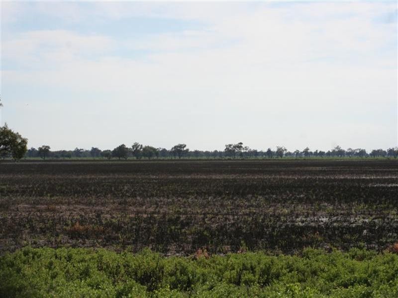 Come By Chance NSW 2832