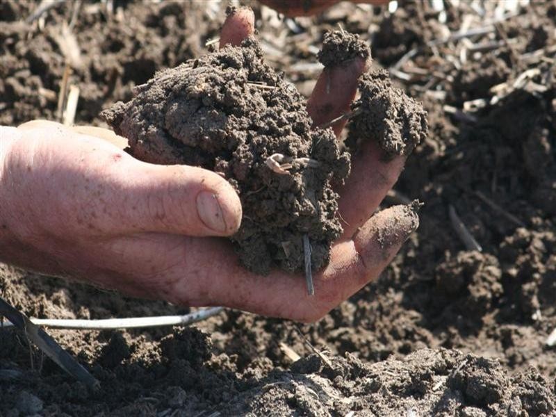 Come By Chance NSW 2832