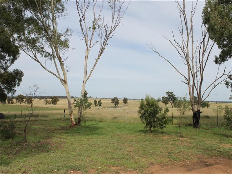 ‘Quindalup’ Terramungamine, Dubbo NSW 2830