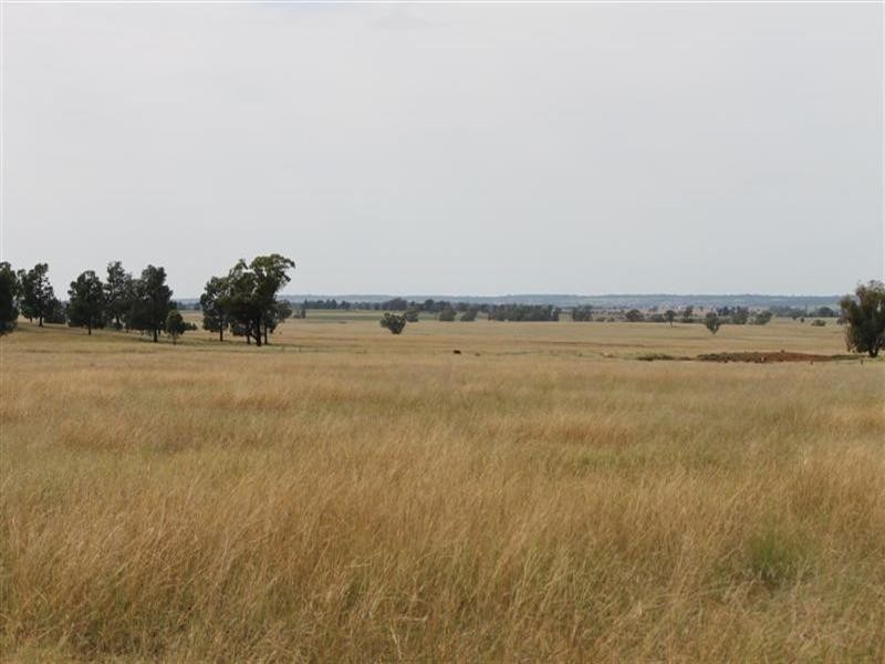 ‘QUINDALUP’ TERRAMUNGAMINE, Dubbo NSW 2830