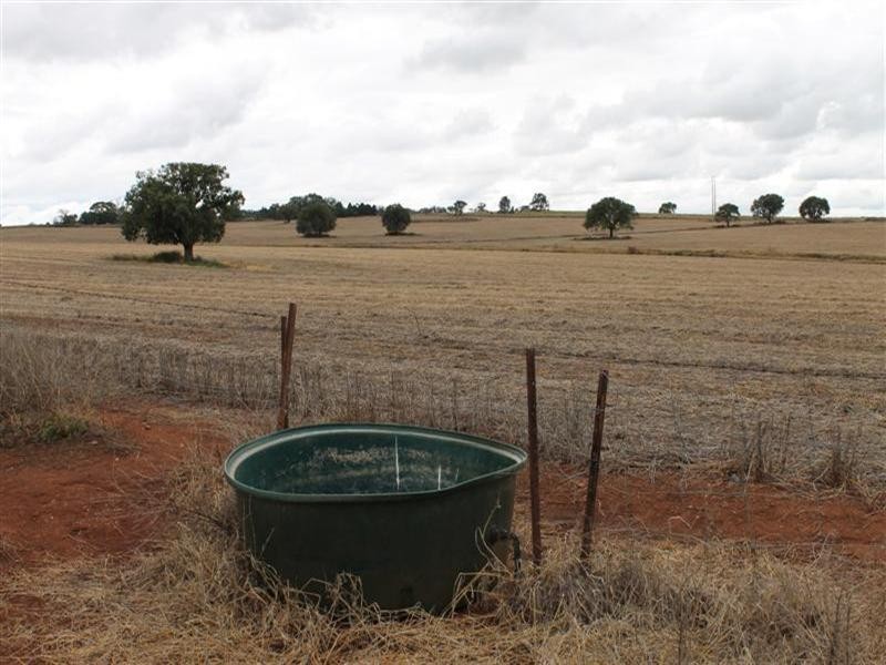 25R Red Hill Road, Wongarbon NSW 2831