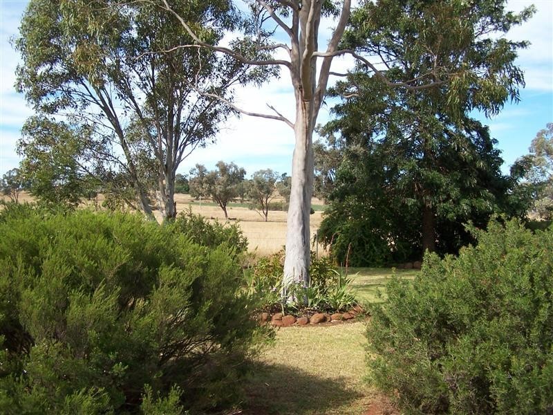 ‘Tara Lodge’ 12R Kurrajong Drive, Dubbo NSW 2830