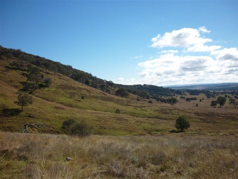 Baldry NSW 2867