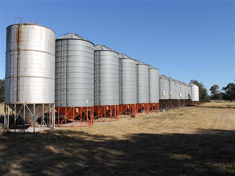 Collie NSW 2827