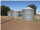 Collie NSW 2827