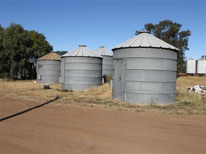 Collie NSW 2827