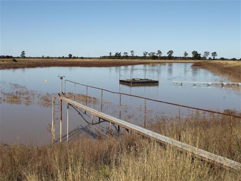 Collie NSW 2827