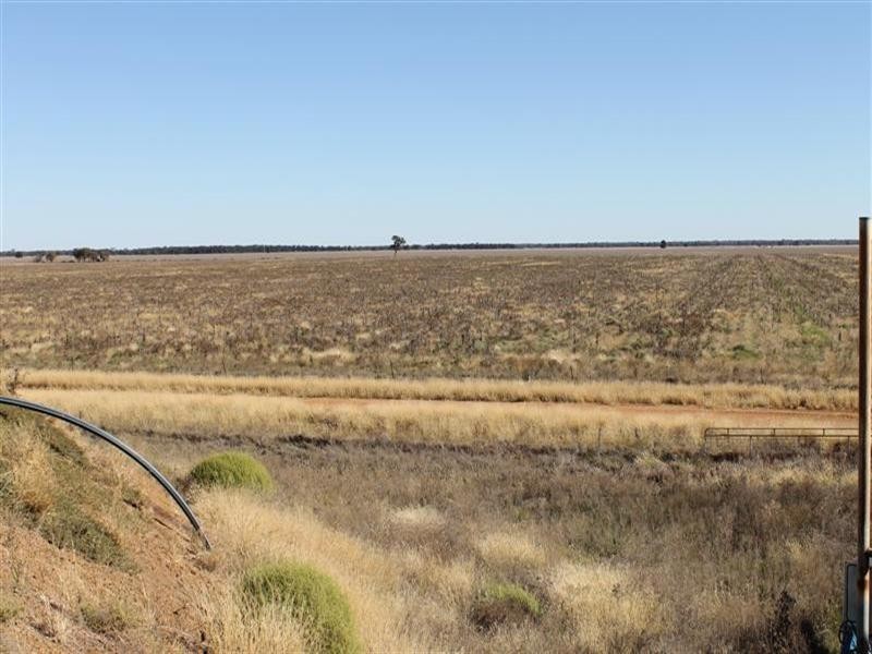 Collie NSW 2827