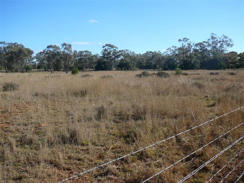 125-127 Nyngan Road, Tottenham NSW 2873