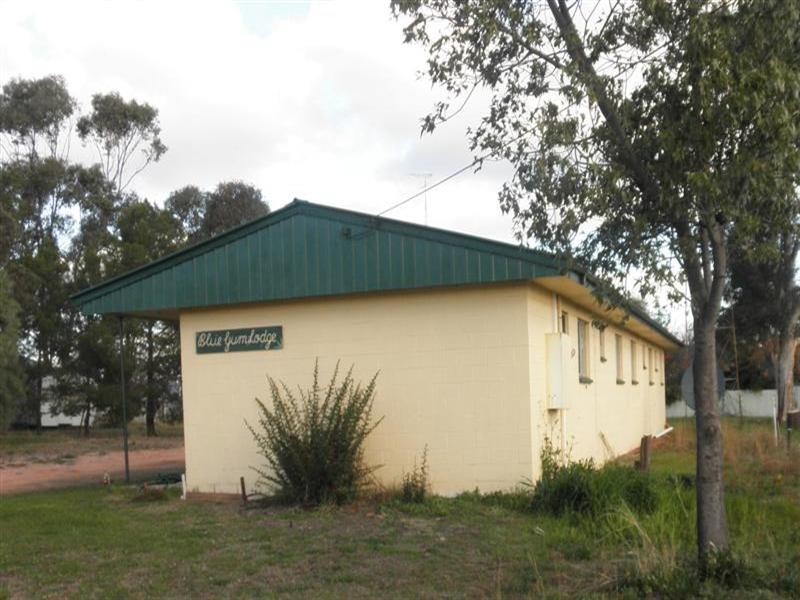 36 Umang Street, Tottenham NSW 2873