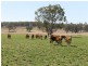 The Rock, Coolah NSW 2843