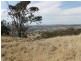 The Rock, Coolah NSW 2843
