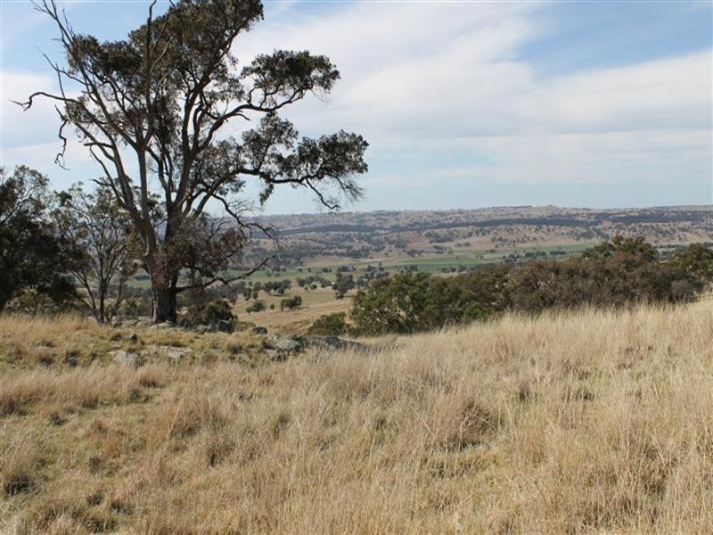 The Rock, Coolah NSW 2843