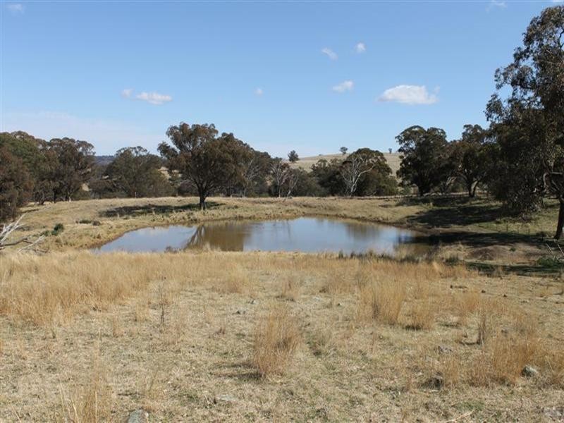 The Rock, Coolah NSW 2843