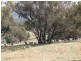 The Rock, Coolah NSW 2843