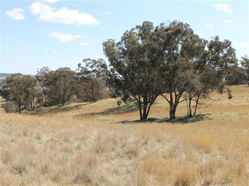 The Rock, Coolah NSW 2843