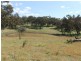 The Rock, Coolah NSW 2843