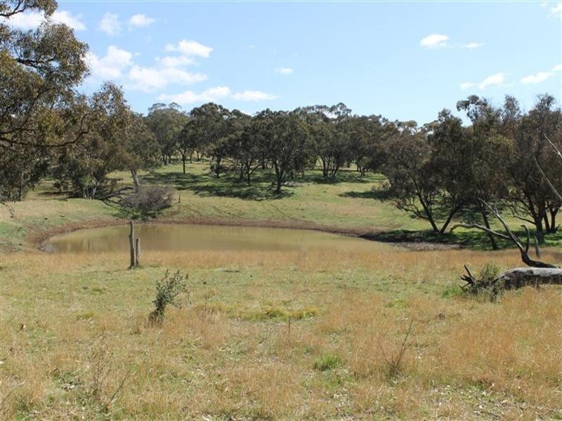 The Rock, Coolah NSW 2843