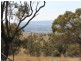 The Rock, Coolah NSW 2843