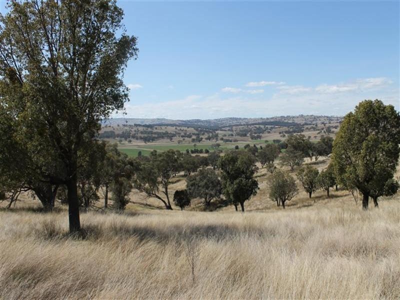 The Rock, Coolah NSW 2843