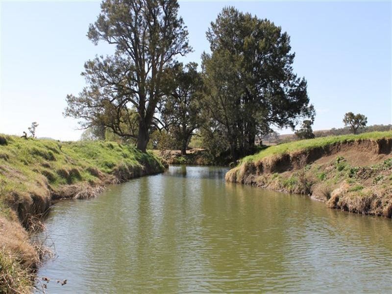 The Rock, Coolah NSW 2843