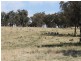 The Rock, Coolah NSW 2843