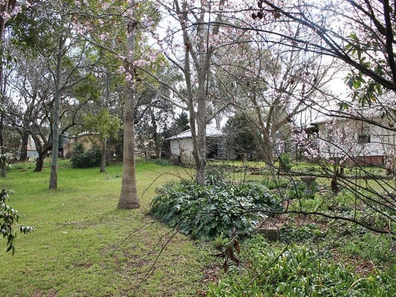 The Rock, Coolah NSW 2843