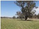 The Rock, Coolah NSW 2843